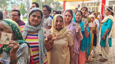 Lok Sabha Elections 2024: SWOT how will Haryana vote this time? |  Chandigarh News - Times of India