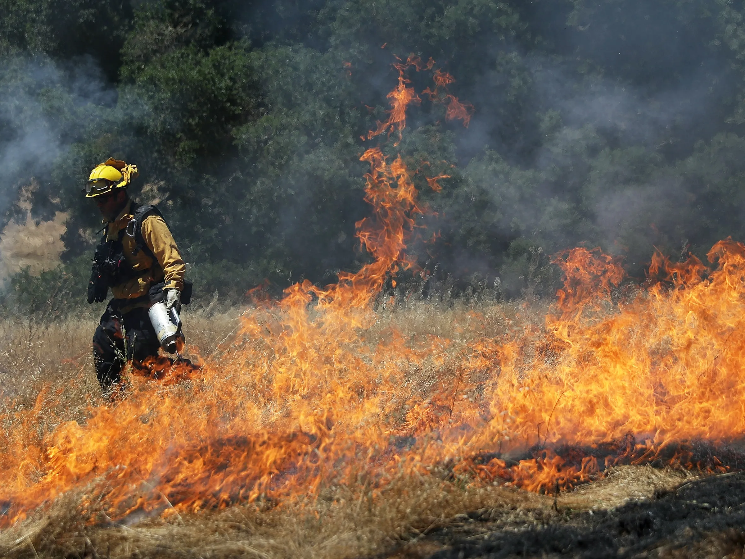 We Know Exactly How to Stop Wildfires—With Money | WIRED