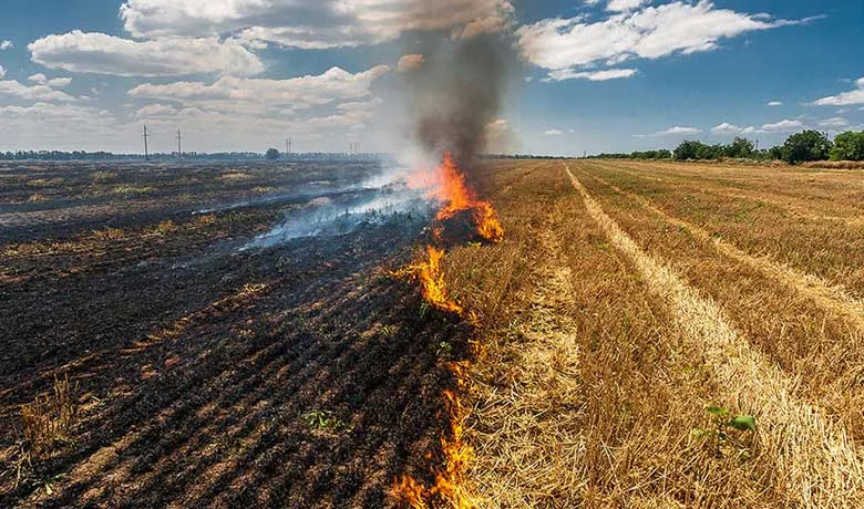 The impact of stubble burning and poor air quality in India during the time  of COVID-19 | TERI