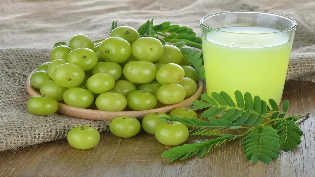 Amla Juice Empty Stomach: প্রতিদিন সকালে খালি পেটে আমলা জুস পান করুন, দেখুন  ফলাফল