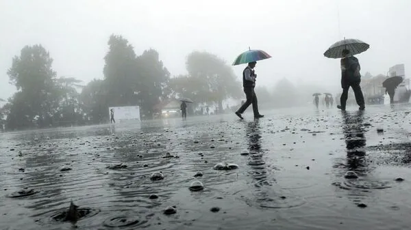 Heavy rainfall continues in parts of Tamil Nadu, IMD predicts rain in  Chennai | Mint)