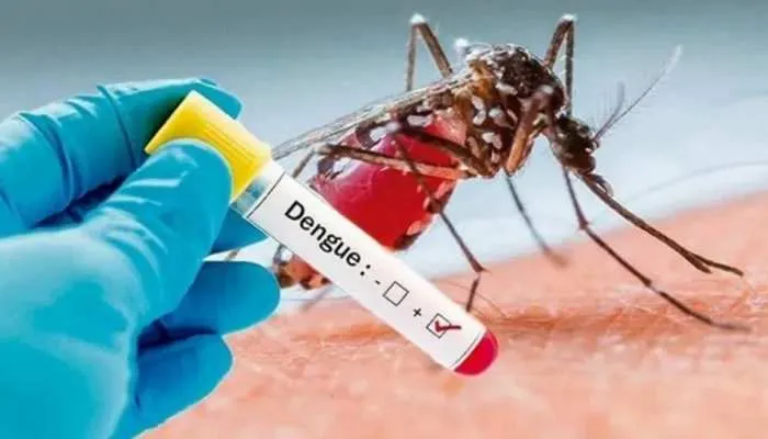 lucknow noida ghaziabad dengue spreading dengu wreaked havoc so many cases  fever disease by mosquitoes pcup | Dengue Fever: यूपी में डेंगू और स्वाइन  फ्लू ने दी जबरदस्त दस्तक, लखनऊ में बढ़