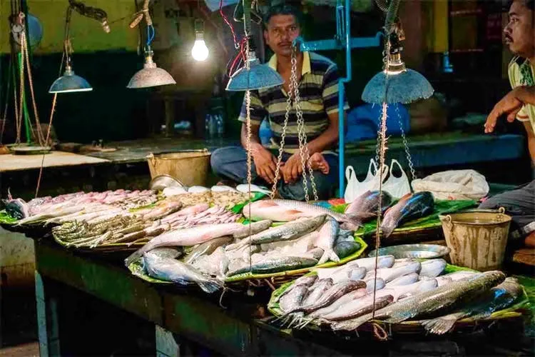 Go To These Market For Fresh Illish | LBB, Kolkata