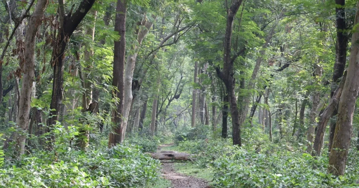 West Bengal Tourism (পশ্চিম বাংলা ভ্রমণ)
