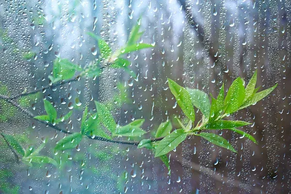 Rain Stock Photos, Royalty Free Rain Images | Depositphotos