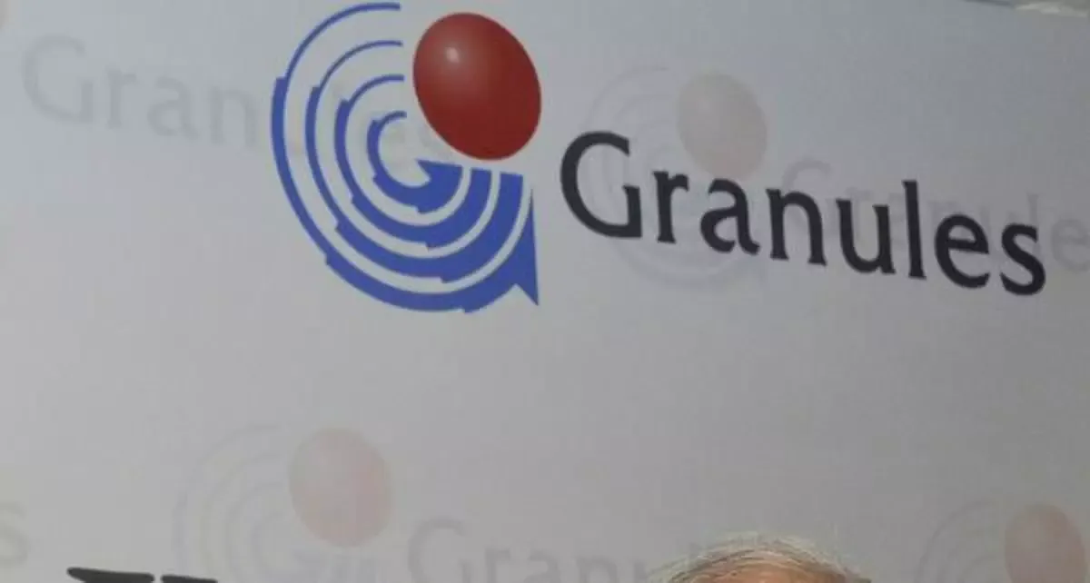 Granules India's Q4 net up 8% at ₹120 crore - The Hindu BusinessLine
