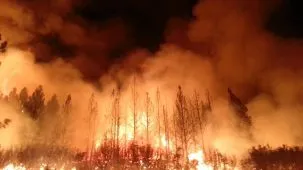 Forest Fires Increasingly Affecting Western Rivers and Streams, for Better  and Worse – State of the Planet