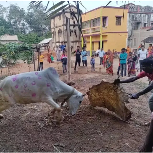 কপিলামঙ্গল কাব্যের অনুরণনে 'সহরই' বা বাঁদনা পরব - Ramakrishna Math Baghbazar