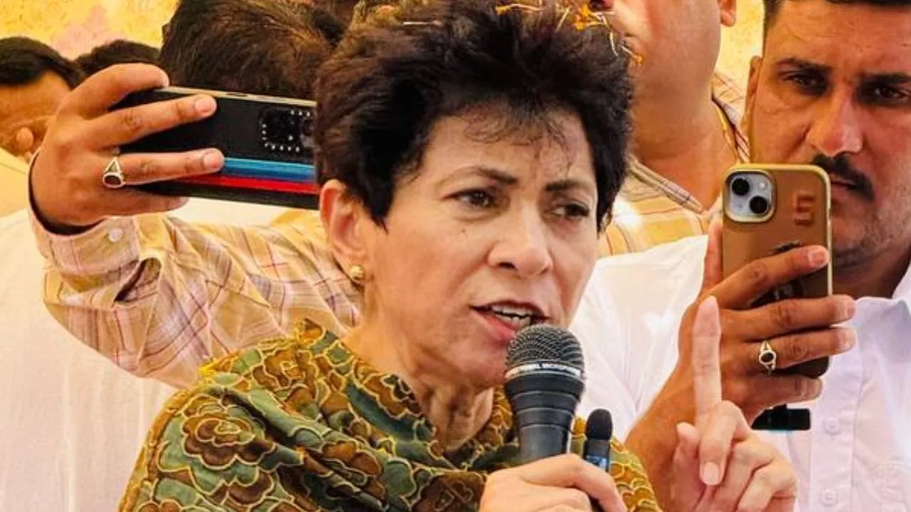 हरियाणा में कांग्रेस क्यों नहीं जीत पाई सभी सीटें? कुमारी शैलजा ने बताई वजह  | congress MP Kumari Selja on Congress ticket allocation in lok sabha  Politics of me and mine should