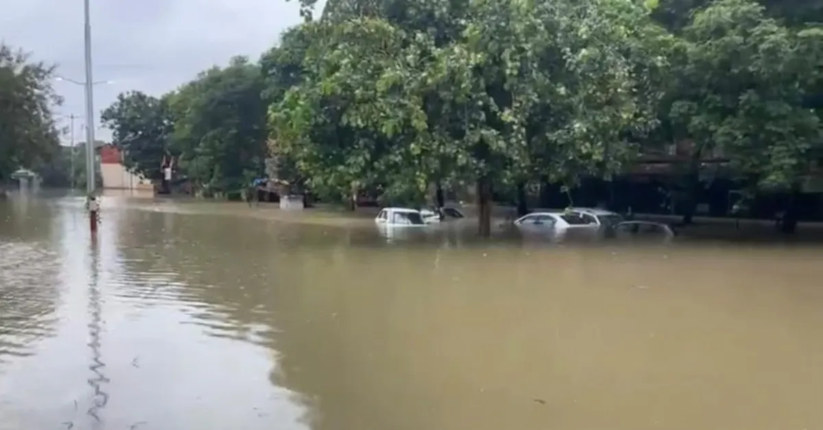 Gujarat Rains: ভারী বৃষ্টিতে গুজরাটে বন্যা, ত্রাণ তৎপরতা বাড়াতে  আধিকারিকদের ছুটি বাতিল মুখ্যমন্ত্রীর