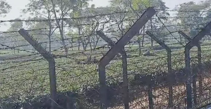 বাংলাদেশ সীমান্তের উন্মুক্ত স্থানে কাঁটাতারের বেড়া দিচ্ছে ভারত – প্রবাস খবর