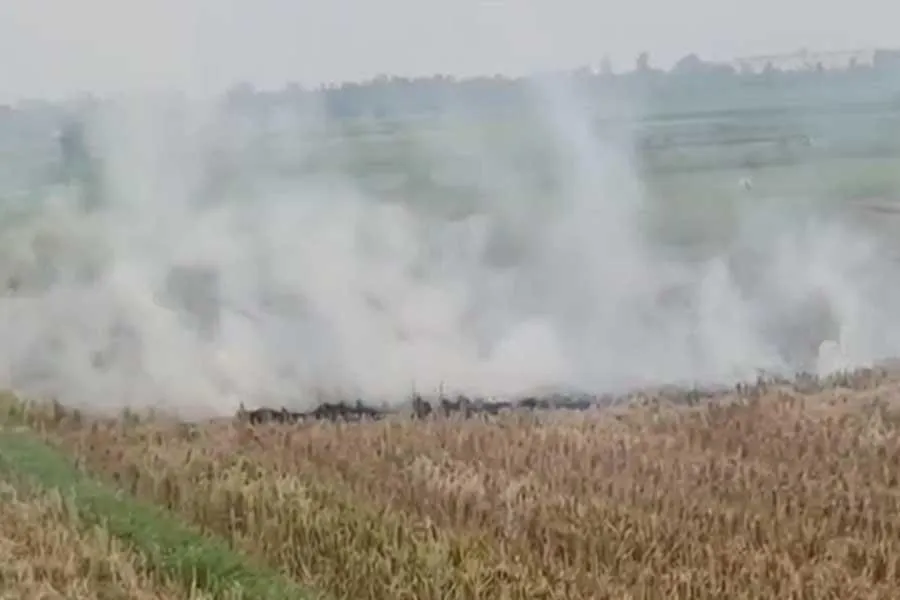 অবাধে চলছে নাড়া পোড়ানো, ধোঁয়া থেকে ছড়াচ্ছে দূষণ