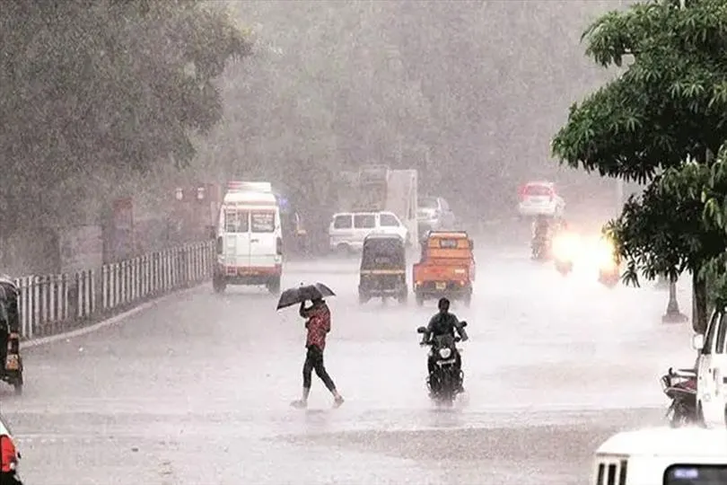 অকাল বৃষ্টি! সমস্যায় কৃষকরা