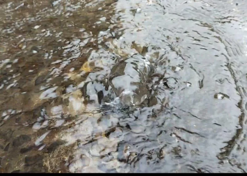 জলের পাইপ লাইন ফেটে বিপত্তি