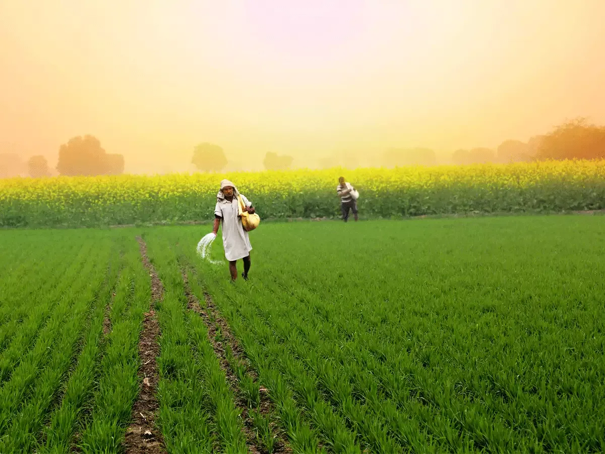 Farmer