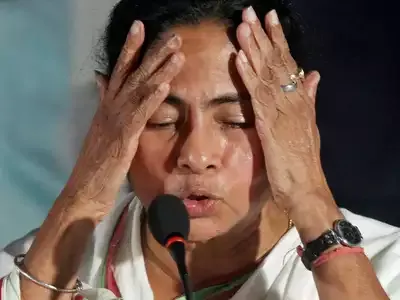 mamata