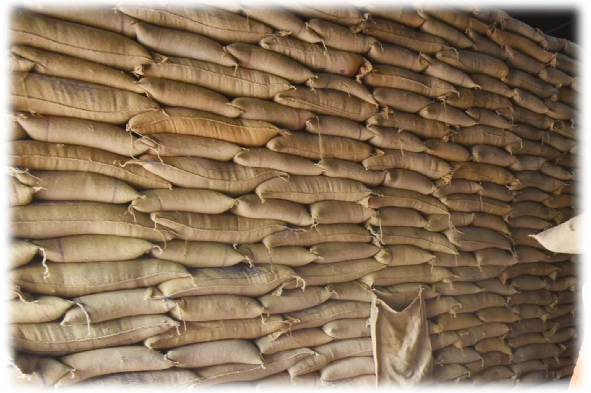 Ration & Cash_01