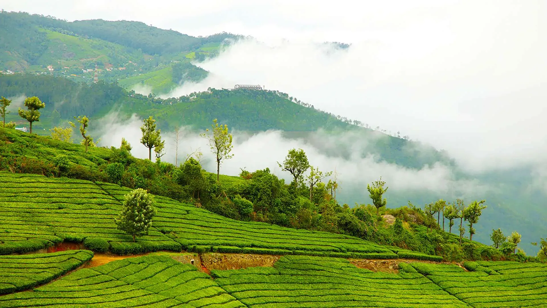 Coonoor_Attractions