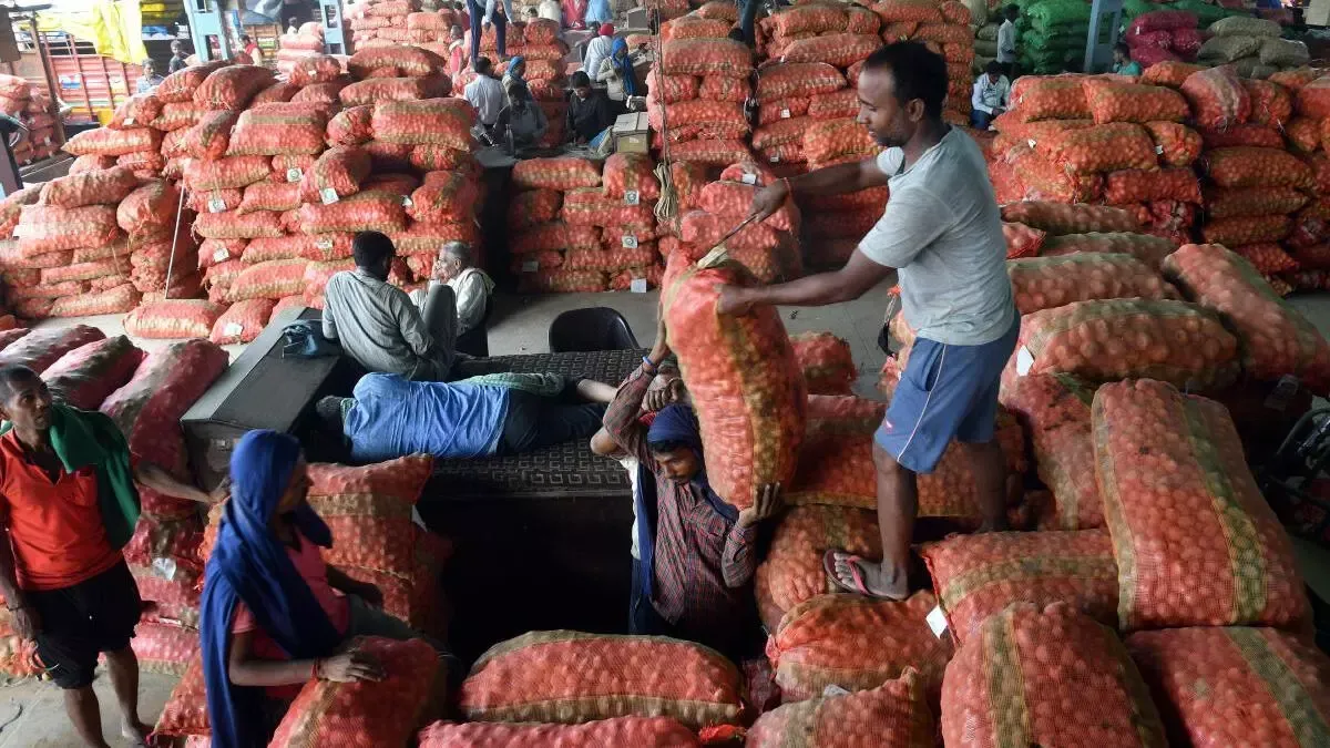 Potato prices show mixed trend in some key growing regions - The Hindu  BusinessLine