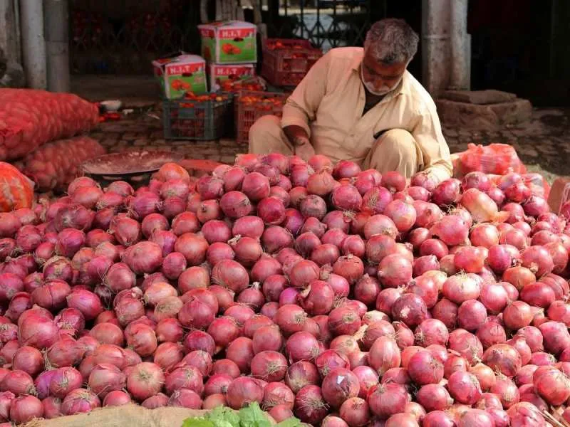 Onion prices hike 30 to 50 percent in last two weeks after demand increase  | Onion Price Hike: 14 द‍िन...और 50% बढ़ गए प्‍याज के रेट, चुनाव खत्‍म होते  ही कीमत में
