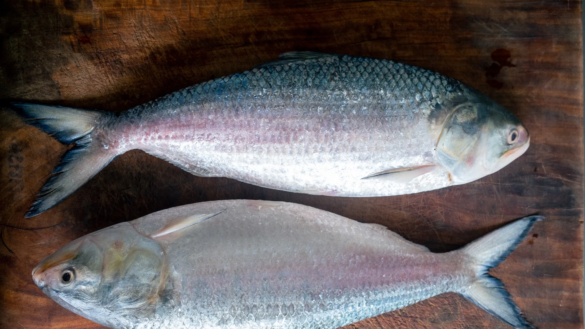 Ilish is a nose-to-tail feast in monsoon | Condé Nast Traveller India