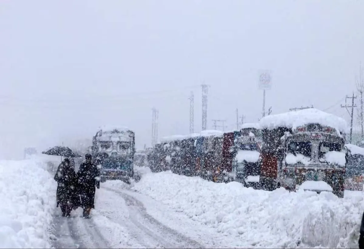 Himachal Pradesh Snowfall: हिमाचल में बर्फबारी से पर्यटकों की बढ़ी मुसीबत,  नेशनल हाईवे समेत 233 सड़कें बंद, 4 की मौत - himachal pradesh snowfall imd  issues orange alert four tourists ...