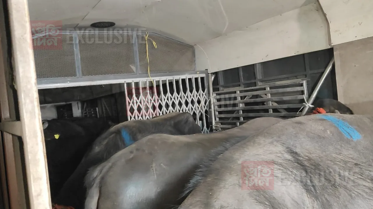 ইউ পিৰ পৰা মেঘালয়লৈ বুলি সৰবৰাহ