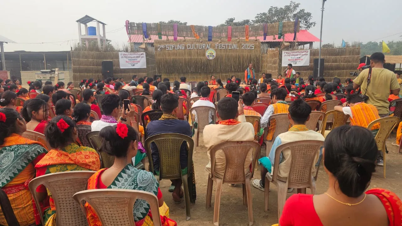 সংকটৰ দিশে গতি কৰা বড়ো জনগোষ্ঠীয় লোকগীত, লোক নৃত্য, পৰম্পৰাগত কলা সংস্কৃতি আৰু বাদ্যযন্ত্ৰক সংৰক্ষণ কৰি আৰু নৱ প্ৰজন্মৰ মাজত আগুৱাই নিয়াৰ লক্ষ্যৰে জন্ম দিয়া হৈছিল চিফুং হাৰিমু আফাদ অৰ্থাৎ চিফুং সাংস্কৃতিক সংস্থা। 