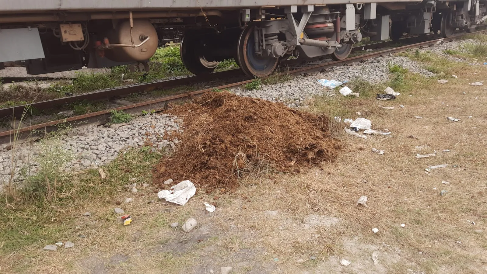 পুৱতি নিশা এন জি গুডামত নমাই অজ্ঞাত স্থানলৈ উলিয়াই নিলে ৪০০ ম’হ…