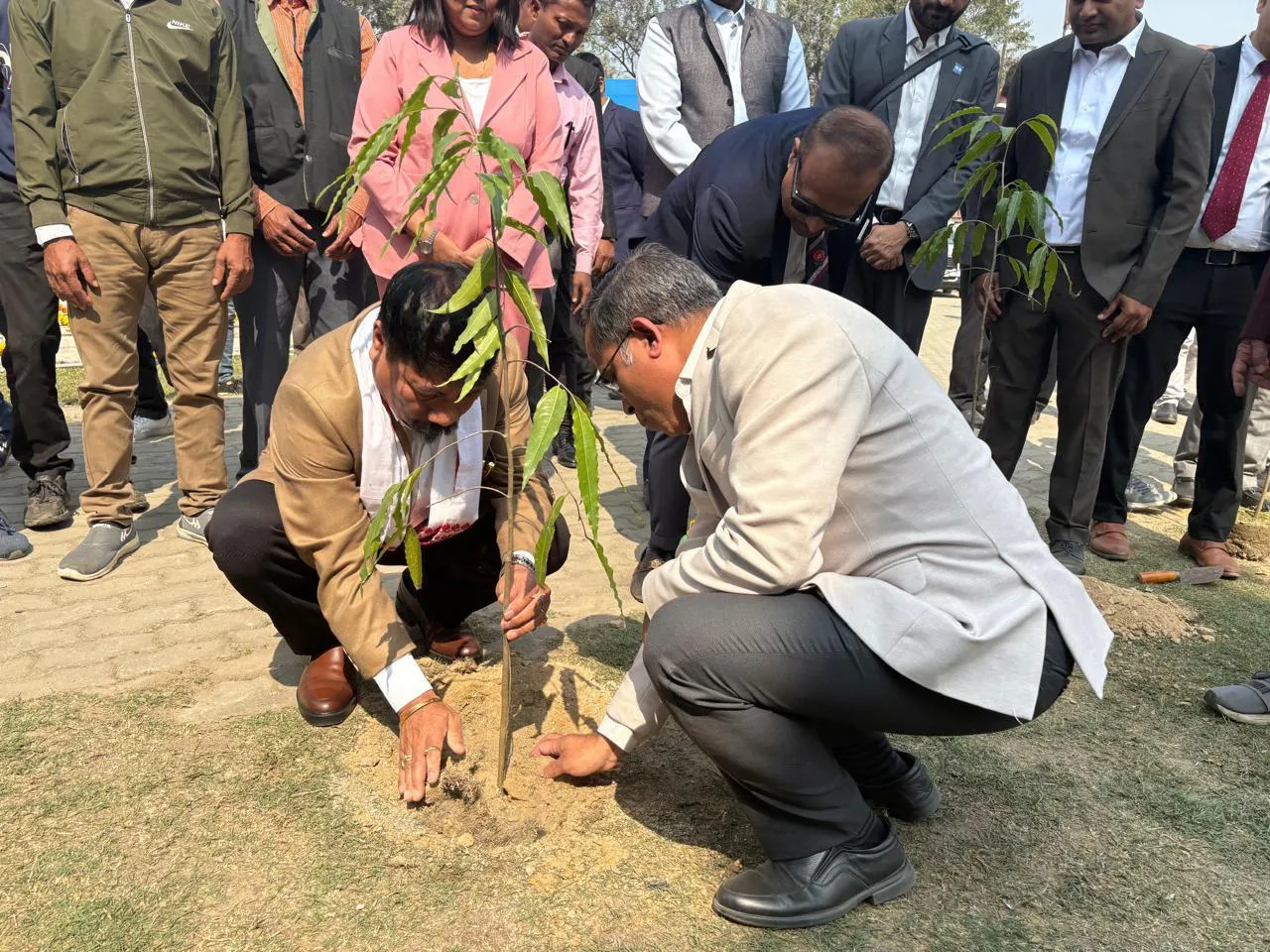 ংমংমং