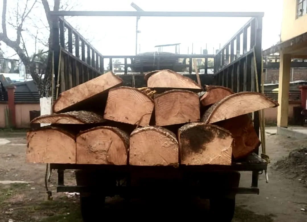 ঢকুৱাখনাত চোৰাং বনজ সম্পদসহ বাহন জব্দ