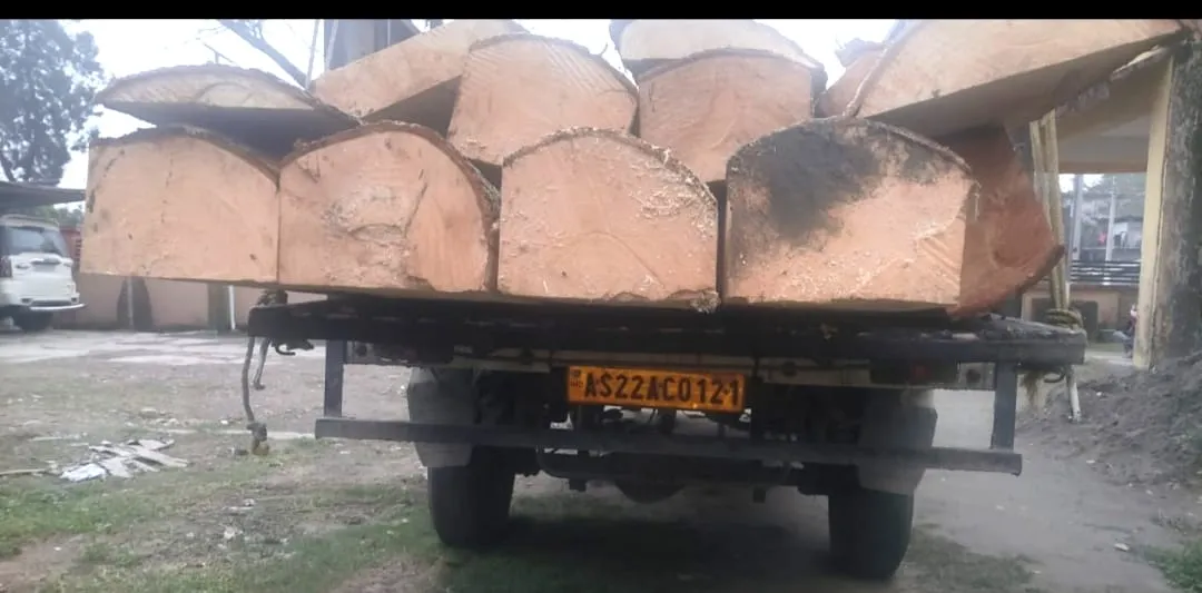 ঢকুৱাখনাত চোৰাং বনজ সম্পদসহ বাহন জব্দ