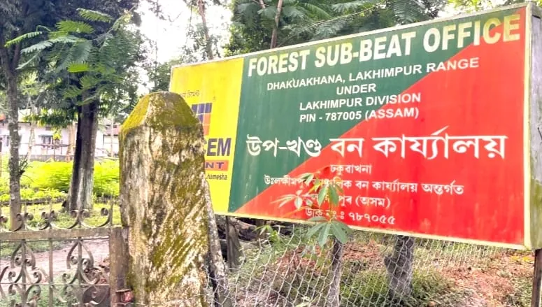 ঢকুৱাখনাত চোৰাং বনজ সম্পদসহ বাহন জব্দ