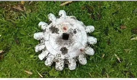 বিষ্ণুপুৰী থানৰ ভাষ্কৰ্য