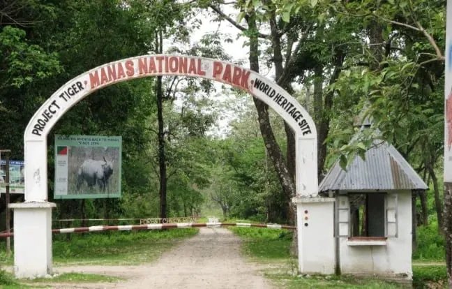 manas national park  