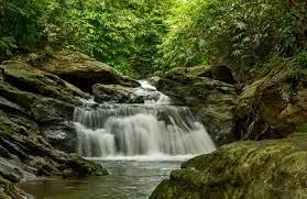 চক্ৰশীলা বন্যপ্ৰাণী অভয়াৰণ্য  