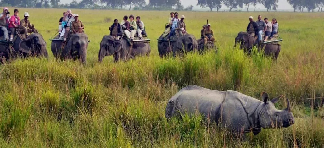 kaziranga national park  National Parks of Assam