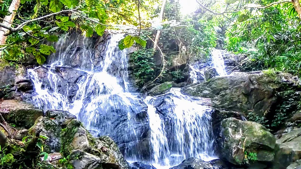 টেঘেৰীয়া  