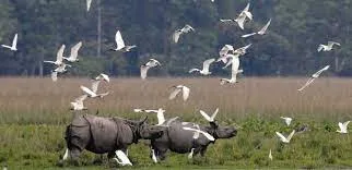 পবিতৰা বন্যপ্ৰাণী অভয়াৰণ্য  