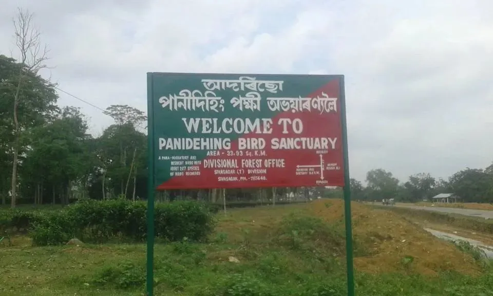 পানী দিহিং পক্ষী বন্যপ্ৰাণী অভয়াৰণ্য  