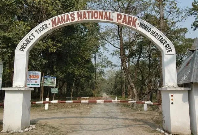 manas national park  