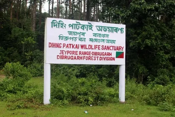 Dihing Patkai  