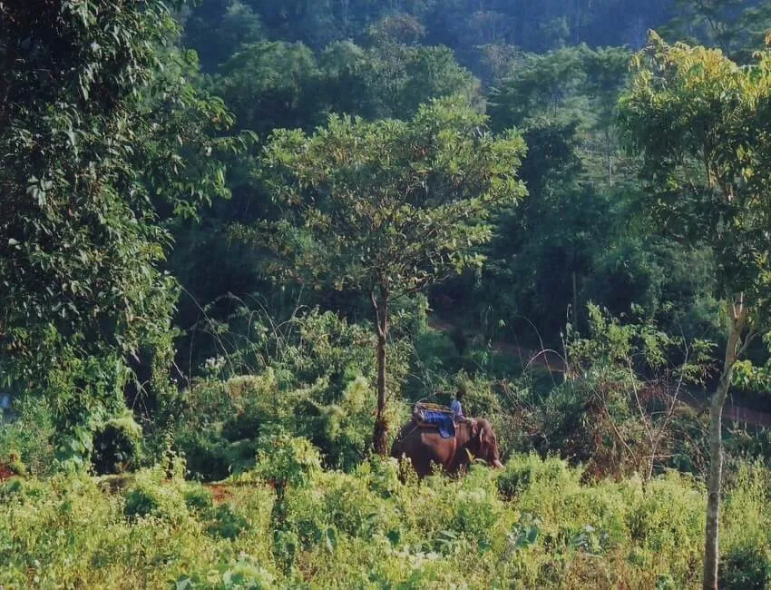 Amchang Wildlife Sanctuaries  