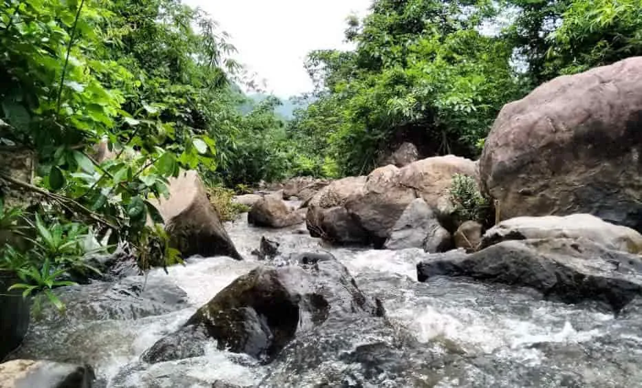 কপিলী  