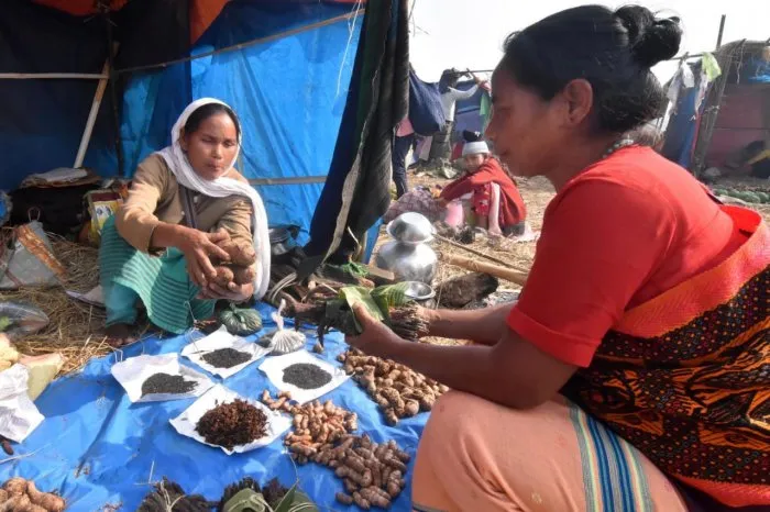 jonbill mela  