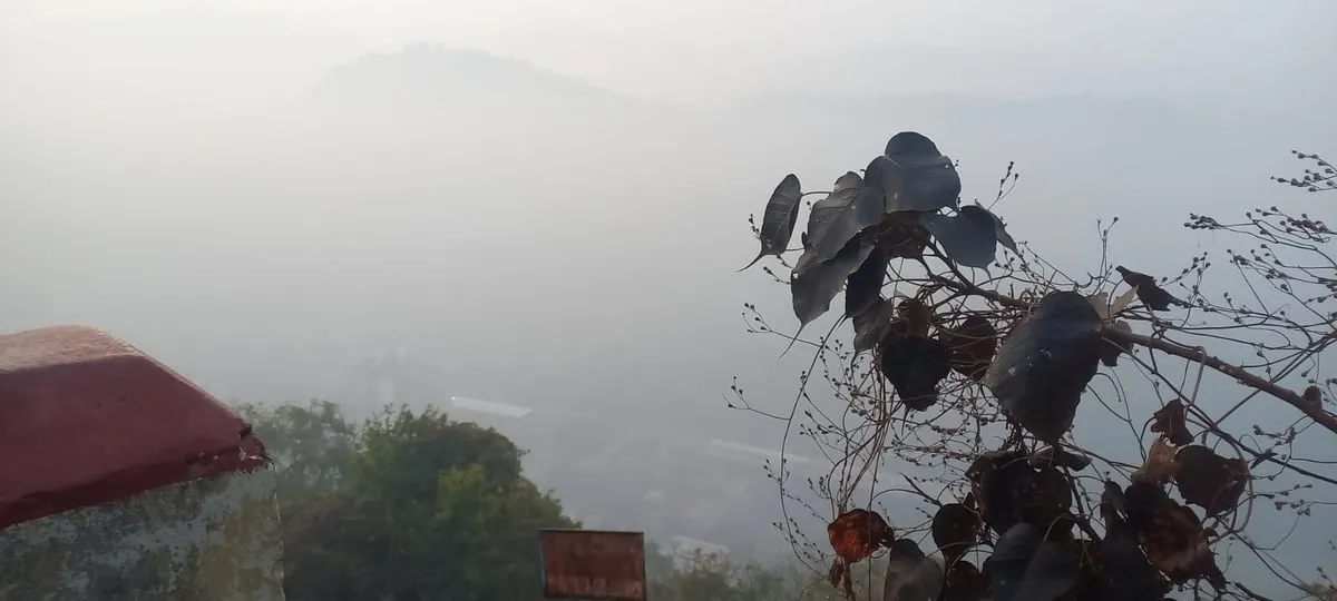 বিবেকানন্দ থকা ঘৰটোৰ পৰা শীতৰ পুৱা গুৱাহাটীৰ প্ৰকৃতিৰ এক বিনন্দীয়া দৃশ্য  