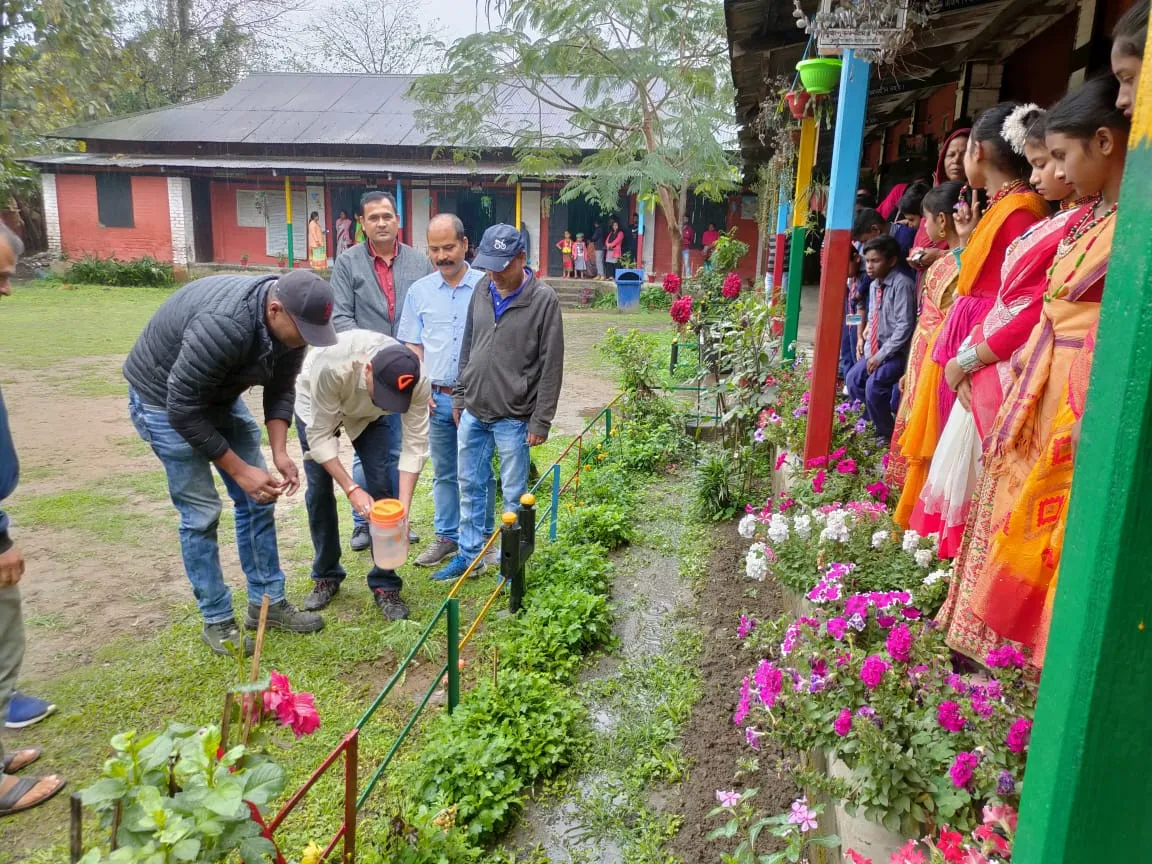 গছপুলি ৰোপন  