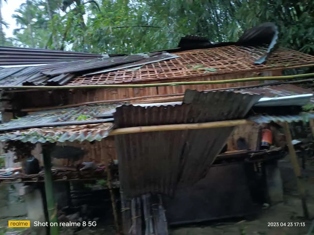 উদং চালি  