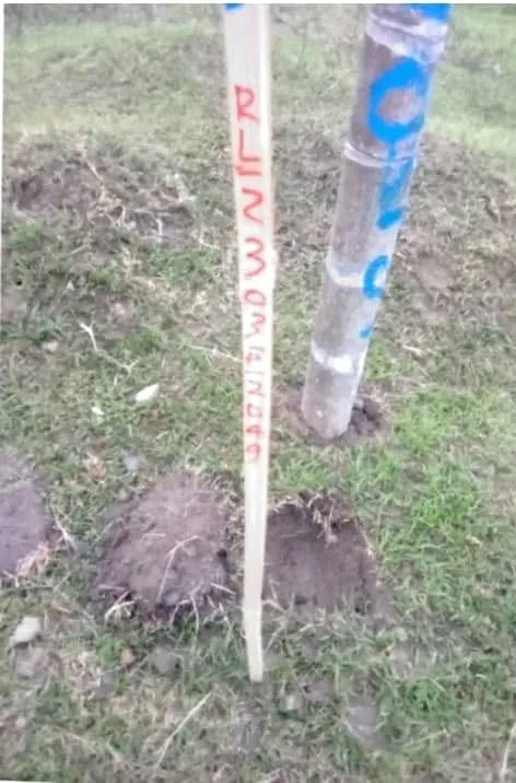 বেকাজানৰ দৃশ্য  