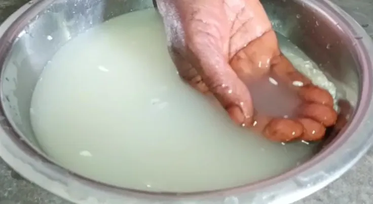 চাউল  